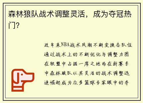 森林狼队战术调整灵活，成为夺冠热门？